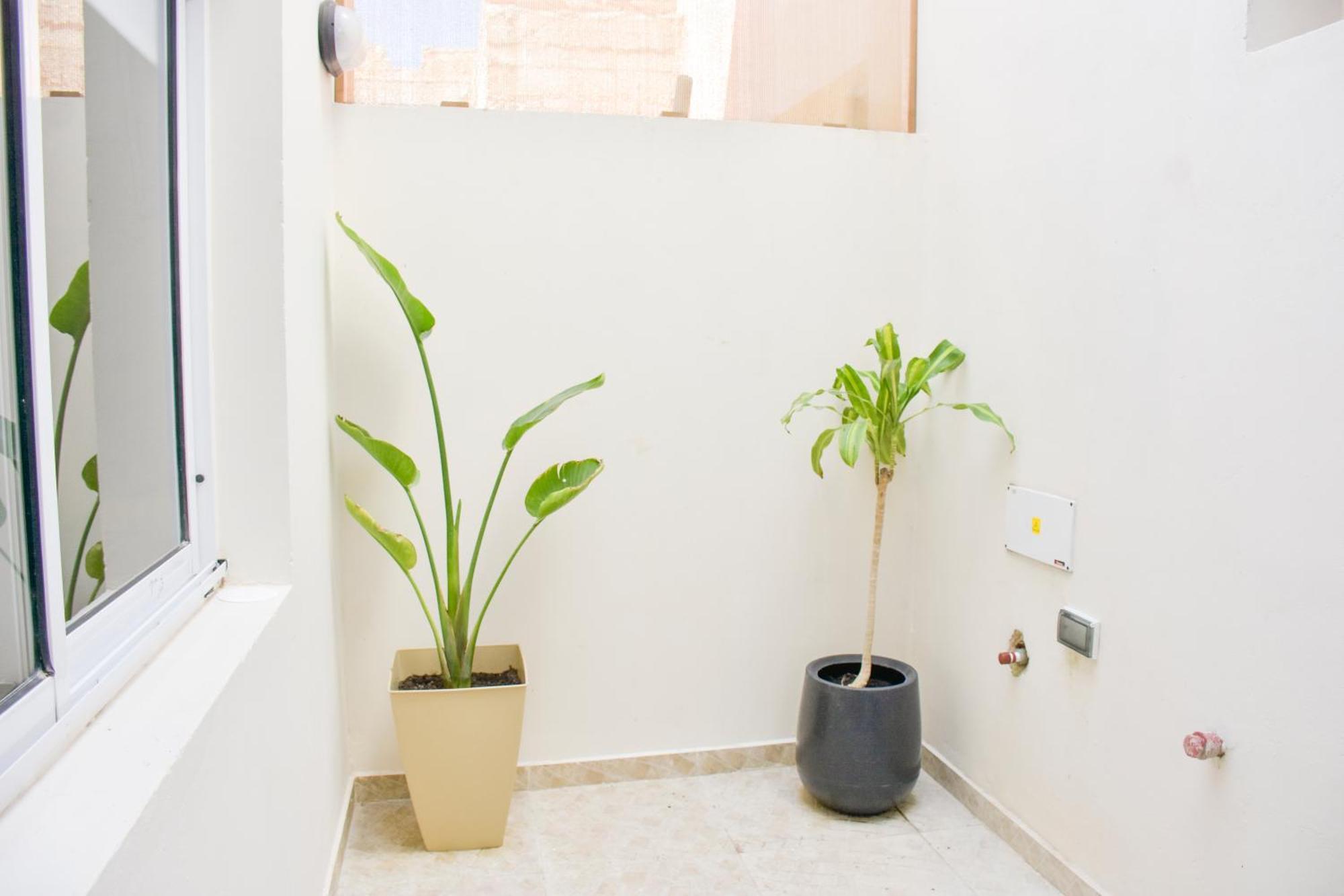 Apartment Fantastico Departamento En El Casco Antiguo De Chascomus, A 350 Metros De La Laguna! Ideal Parejas! Chascomus